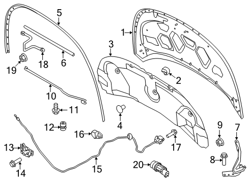 2015 Ford Police Interceptor Utility Hood & Components Diagram