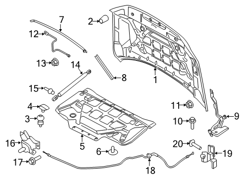 2019 Ford Expedition Hood & Components Diagram