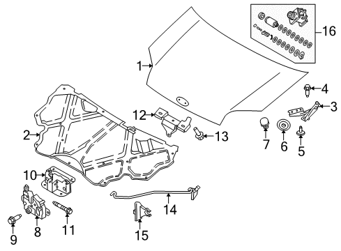 2012 Ford Transit Connect Hood & Components Diagram