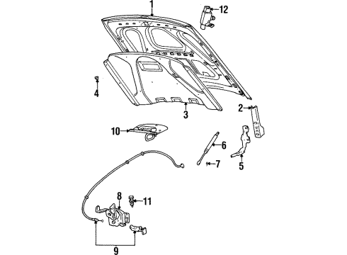 1999 Mercury Grand Marquis Hood & Components Diagram