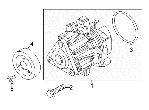 2013 Ford Focus Water Pump Diagram