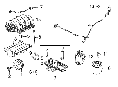 2021 Ford F-250 Super Duty Engine Parts & Mounts, Timing, Lubrication System Diagram 3 - Thumbnail