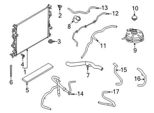 2023 Ford Maverick Radiator Diagram for LX6Z-8005-M