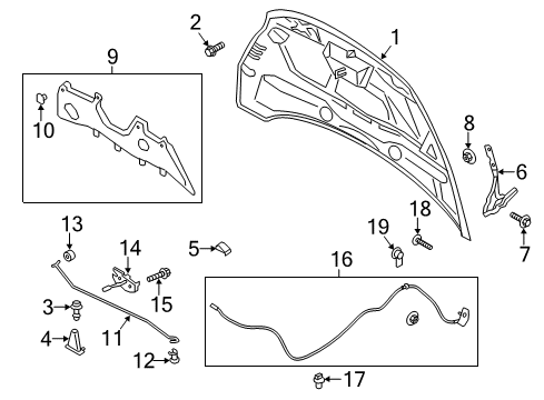2017 Ford C-Max Hood & Components Diagram