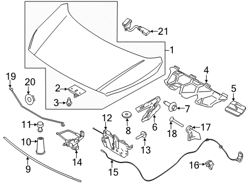 2014 Ford Transit Connect Hood & Components Diagram