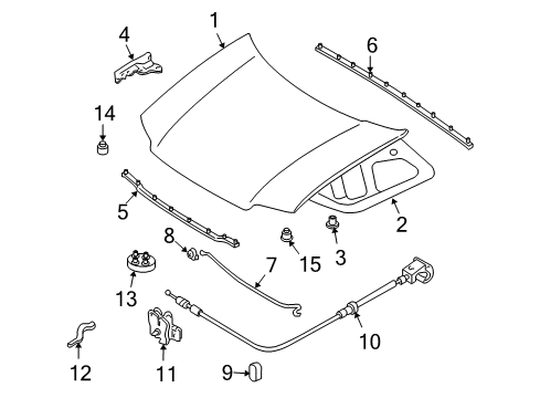 2007 Ford Escape Hood, Front Diagram for 5L8Z-16612-AA