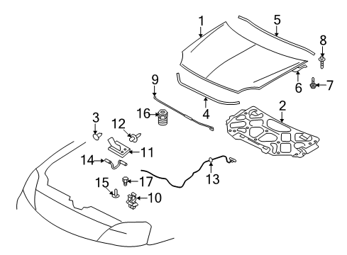 2009 Ford Taurus X Hood & Components Diagram