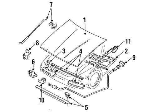 1991 Ford Escort Hood & Components Diagram