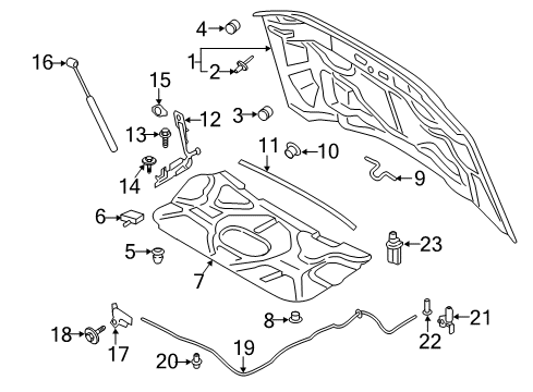 2018 Ford F-250 Super Duty Hood & Components Diagram