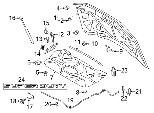 2018 Ford F-350 Super Duty Hood & Components Diagram