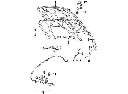 1998 Ford Crown Victoria Hood & Components Diagram