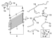 Ford Radiator Diagram - FV4Z-8005-A
