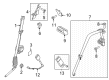 Ford F-150 Lightning Seat Belt Diagram - ML3Z-16611B68-AE