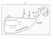 Ford C-Max Back Up Light Diagram - DM5Z-13404-A