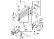 Ford Fan Shroud Diagram - 9L3Z-8146-BA