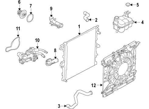 P1MZ-8C607-G Ford Motor And Fan Assembly - Engine Cooling