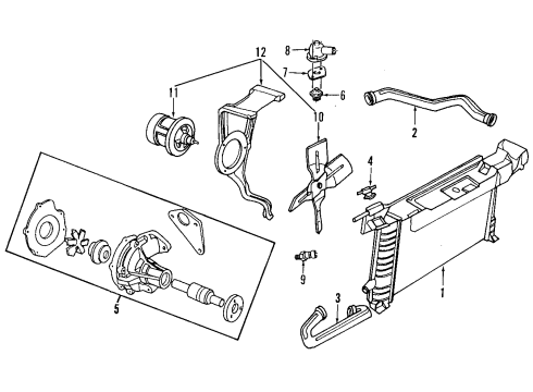 Ford F33Z8286A Lower Hose F33Z8286A Ford Lower Hose