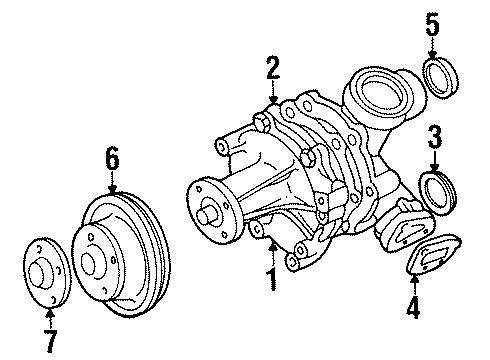 1994 Ford Taurus Water Pump Diagram