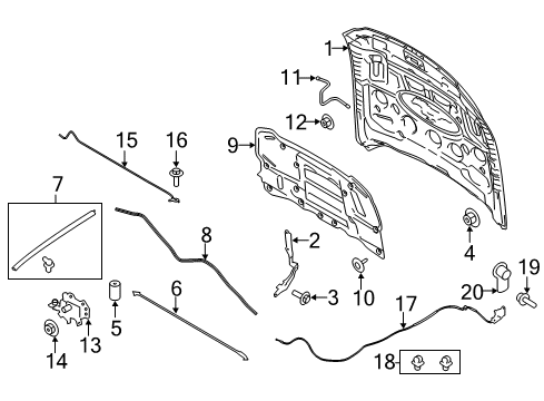 2016 Ford Mustang Hood & Components Diagram