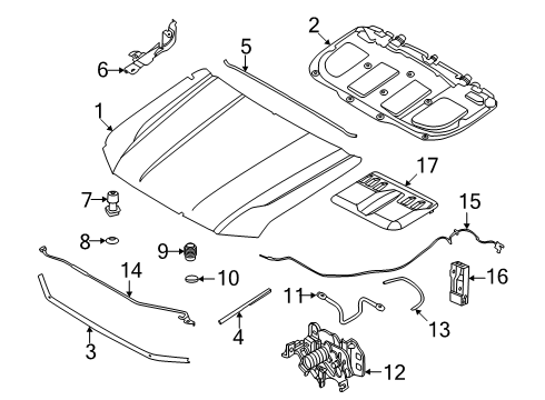 2024 Ford Ranger Hood & Components Diagram