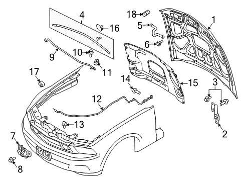 2012 Ford Mustang Hood & Components Diagram
