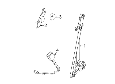 2024 Ford F-150 Seat Belt - Body Diagram 2 - Thumbnail