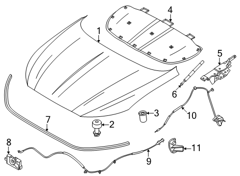 2024 Lincoln Nautilus Hood & Components Diagram
