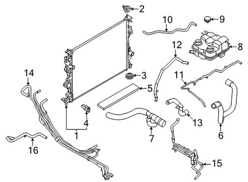 2025 Ford Maverick Radiator & Components Diagram