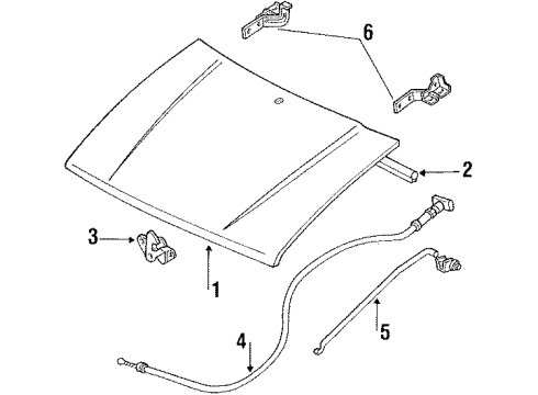 1990 Ford Festiva Hood & Components Diagram