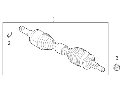 2024 Ford F-150 Lightning Rear Axle Diagram