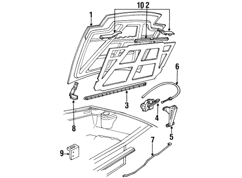1991 Ford Probe Hood & Components Diagram