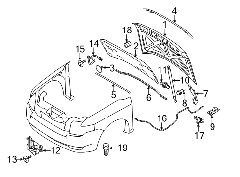 2011 Ford Flex Hood & Components Diagram