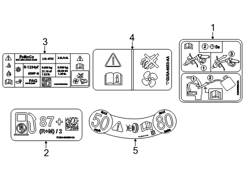 2024 Ford Ranger Information Labels Diagram