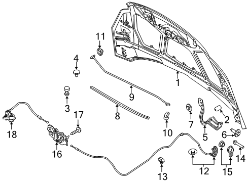 2017 Ford Focus Hood & Components Diagram 2 - Thumbnail