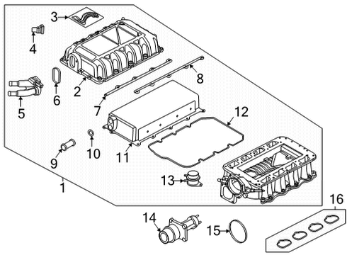 2021 Ford Mustang Supercharger & Components Diagram