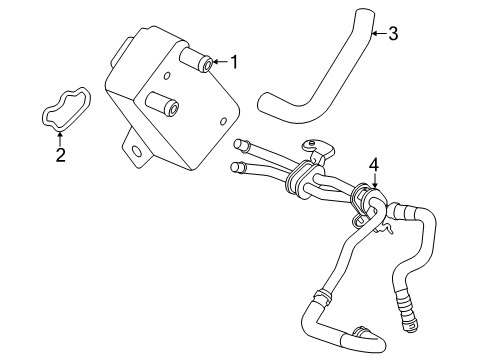 2024 Ford Ranger Oil Cooler - Belts Diagram 2 - Thumbnail