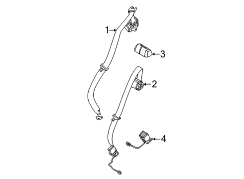 2024 Ford Bronco Sport Rear Seat Belts Diagram
