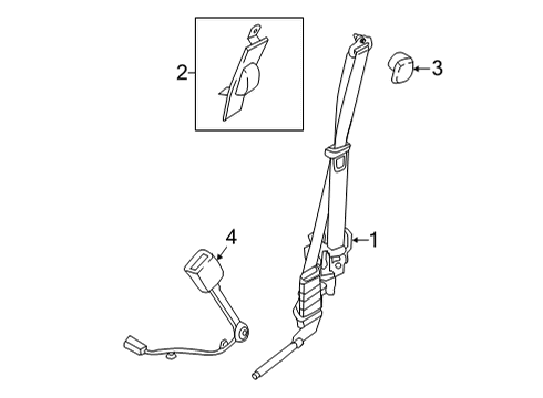 2024 Ford F-150 Seat Belt - Body Diagram 5 - Thumbnail