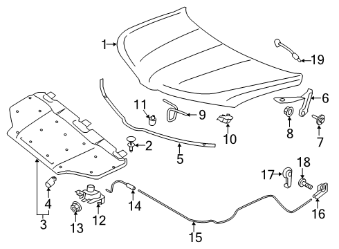 2019 Lincoln Nautilus Hood & Components Diagram