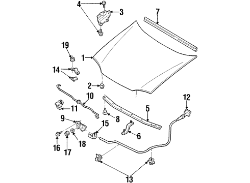 1999 Ford Escort Hood & Components Diagram