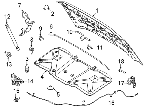 2025 Ford Expedition Hood & Components Diagram