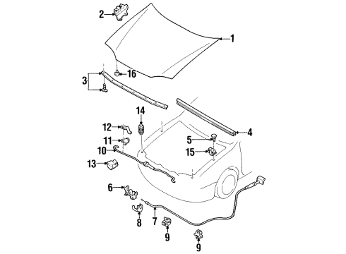 2000 Ford Escort Hood & Components Diagram 2 - Thumbnail