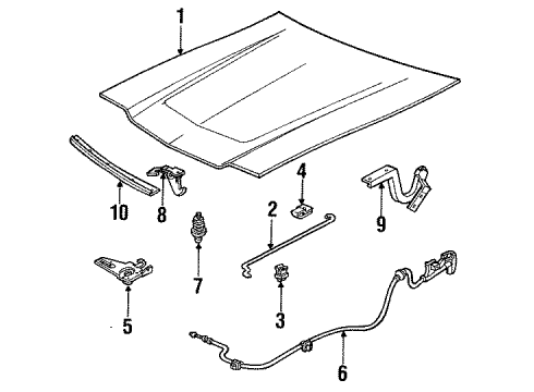 1987 Mercury Lynx Exterior Trim - Hood Diagram
