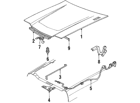 1988 Ford Escort Exterior Trim - Hood Diagram