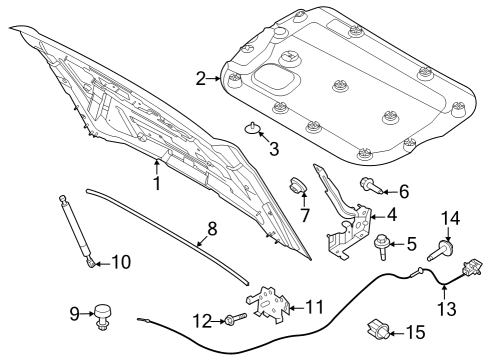 2024 Ford Bronco Hood & Components Diagram 2 - Thumbnail