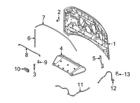 2024 Ford Bronco Sport Hood & Components Diagram