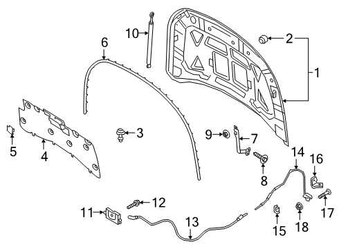 2024 Lincoln Corsair Hood & Components Diagram