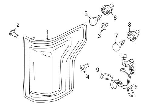 2015 Ford F-150 Tail Lamp Bulb Socket, Rear Diagram for 2U5Z-13411-TA