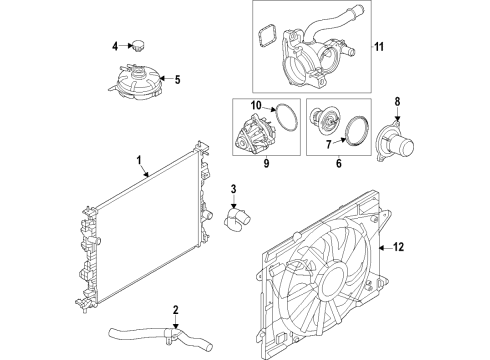 2024 Ford Bronco Sport Cooling System Diagram