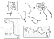 Ford Power Steering Hose Diagram - BL3Z-3A713-L